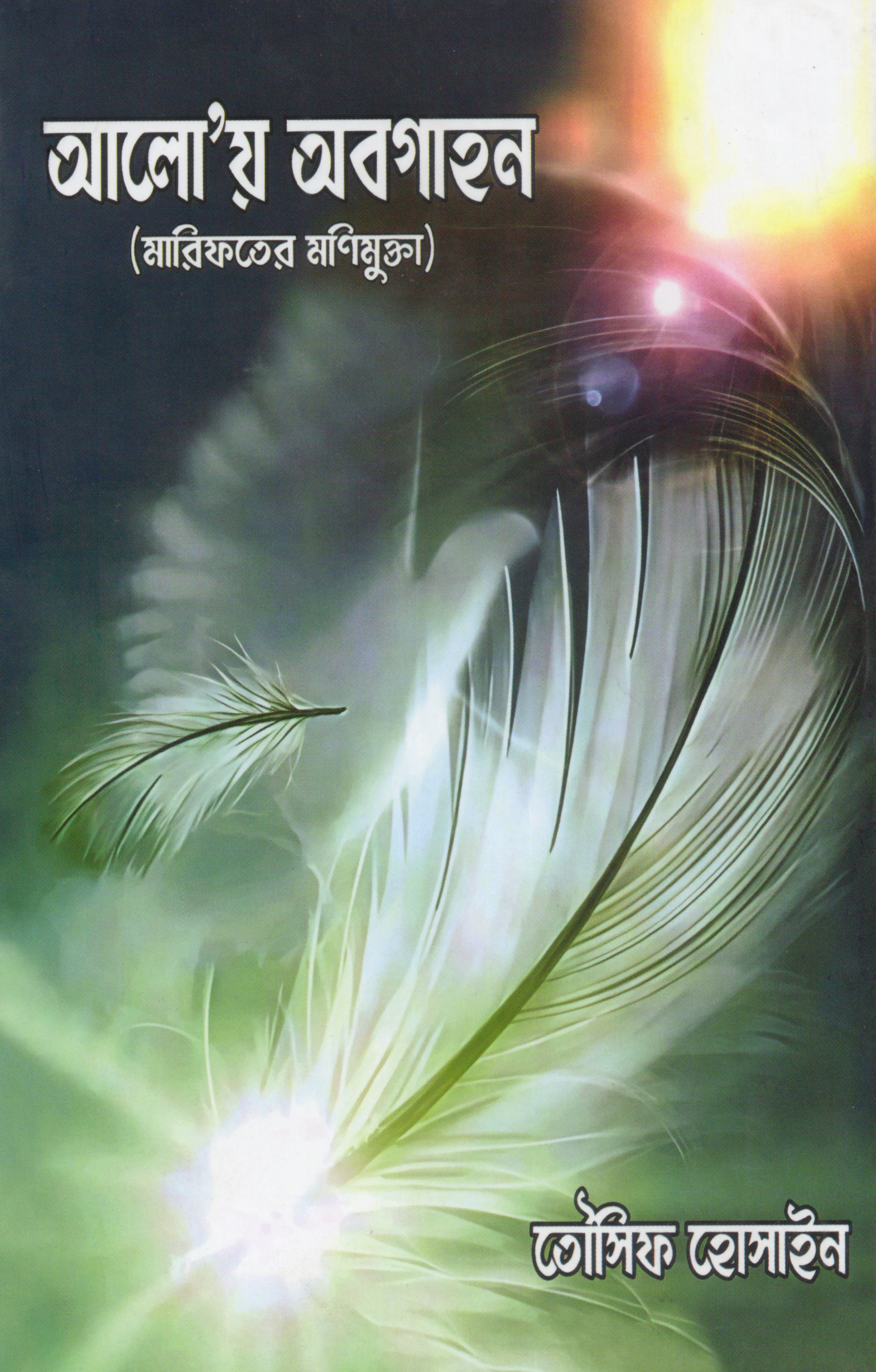 আলো'য় অবগাহন